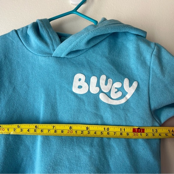 Bluey Kids Hoodie Sweatshirt 4T Blue Cartoon Pockets Heeler Characters Girls Boy - Picture 9 of 12